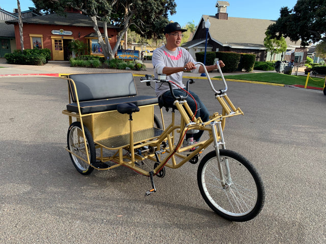 VIP Pedicab/Rickshaw Bike Sales - Clean Healthy and Fun Transportation ...